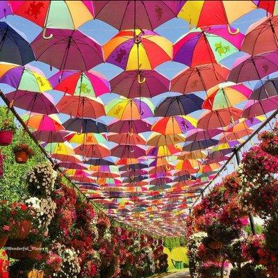 photo of Sunshine G.