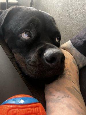 photo of Danielle T.