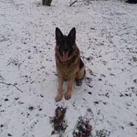 photo of Renee E.