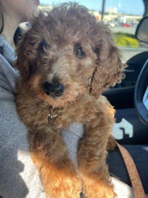 photo of Cherilyn C.