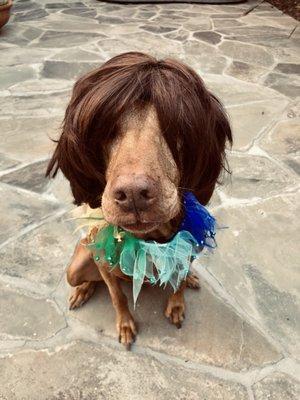 Photo of Jennifer B.