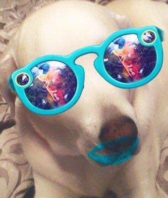 photo of Samantha F.