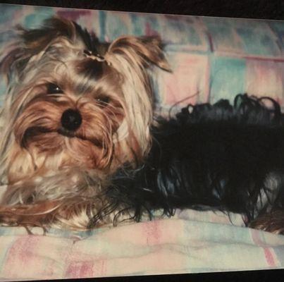 photo of Kimberly K.