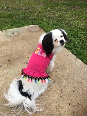 Photo of Courtney D.