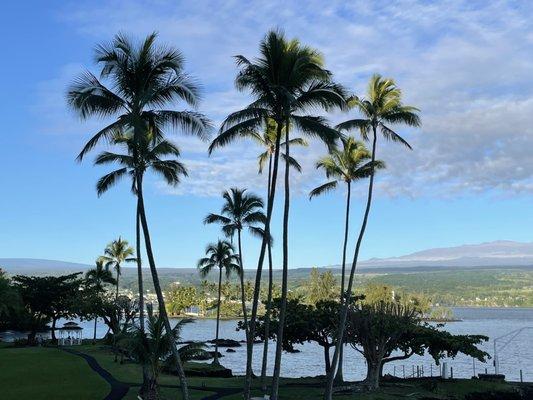 photo of Tina-Marie N.