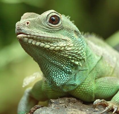 photo of RoyGeeBiv ..