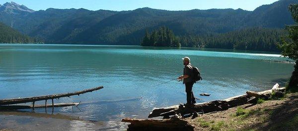 Photo of Bo Dribbly I.