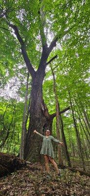 Photo of Rachel H.