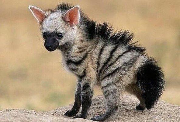 photo of Christine B.