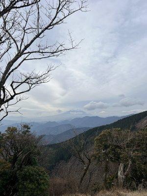 Photo of Natsu S.