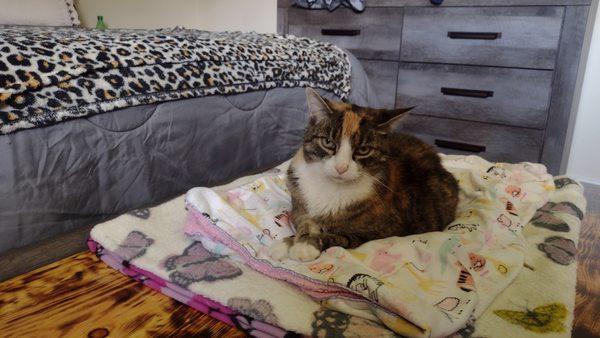 photo of Christine D.