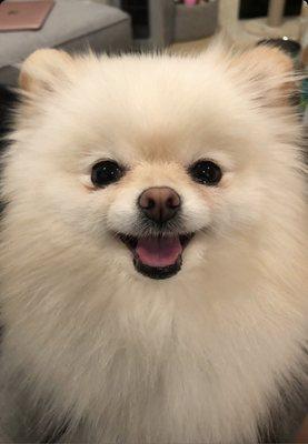 photo of Jennifer C.