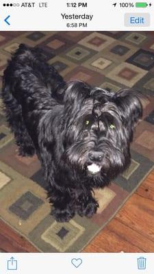 photo of Kimberley B.