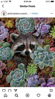Photo of Maeby L.