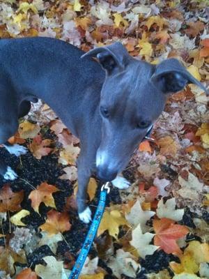 photo of Hsiu-lan C.