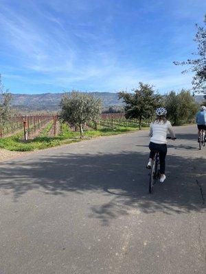 photo of Isabella A.