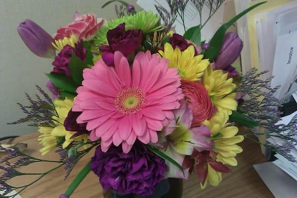 photo of Stephanie W.