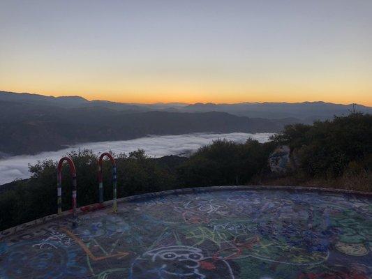 photo of Dimitrios P.