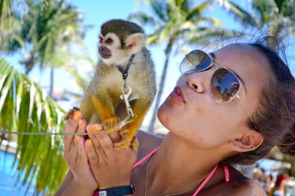 photo of Brittany J.