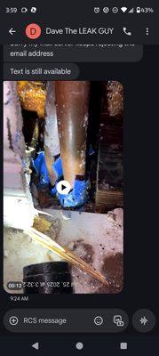 photo of Michelle S.