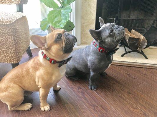 photo of My Two-cents G.