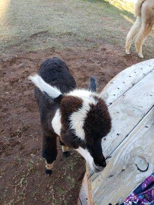 photo of Jennifer M.