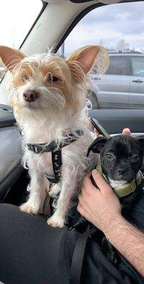 photo of Samantha M.