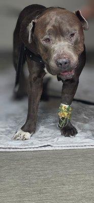 photo of Iris marie A.