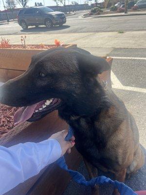 photo of jasmin pennix p.