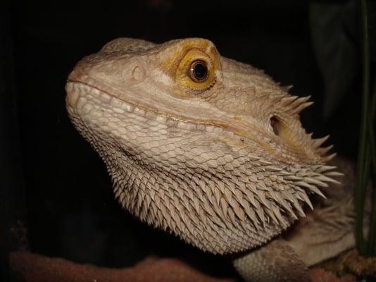 Photo of C G.