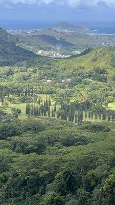 Photo of Isbela P.