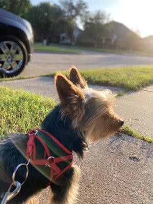 photo of Kinleigh S.