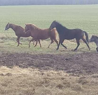 photo of Jeannette F.