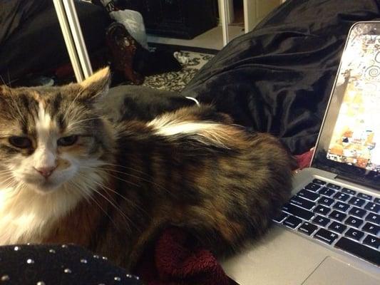 photo of Kimberly W.