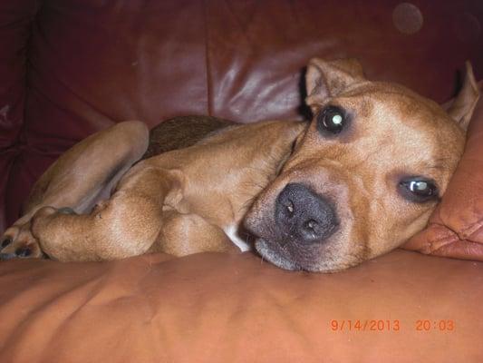 photo of Samantha H.