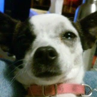 Photo of Jenny L.