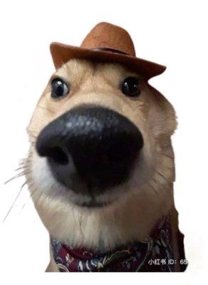 photo of Blister3xist