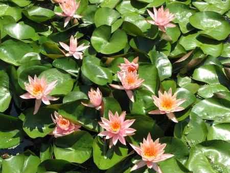 photo of Charlotte M.