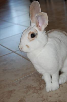 photo of Leigh Ann D.