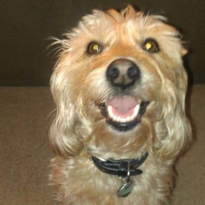 Photo of Kimberly B.