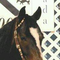 Photo of Claudia M.