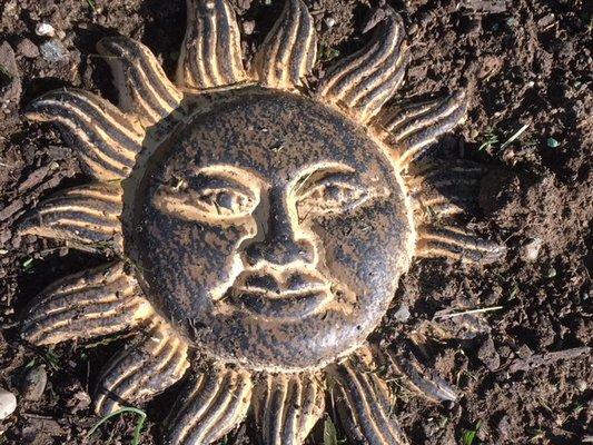 photo of Annemarie R.