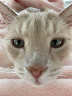 photo of Laura Beth H.