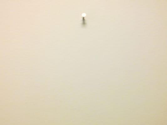 Photo of FreedomFries T.