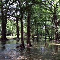 photo of Catherine R.