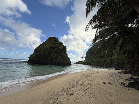 photo of Jennifer B.