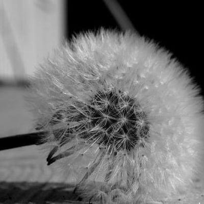 Photo of Christina M.