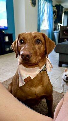 photo of Jennifer P.