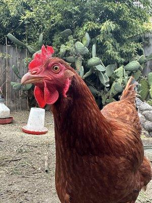 photo of Michelle B.