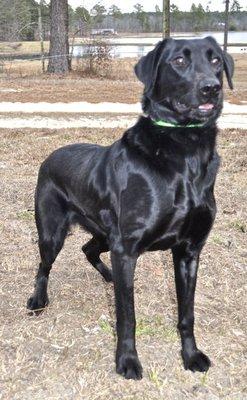 photo of Fessenden B.